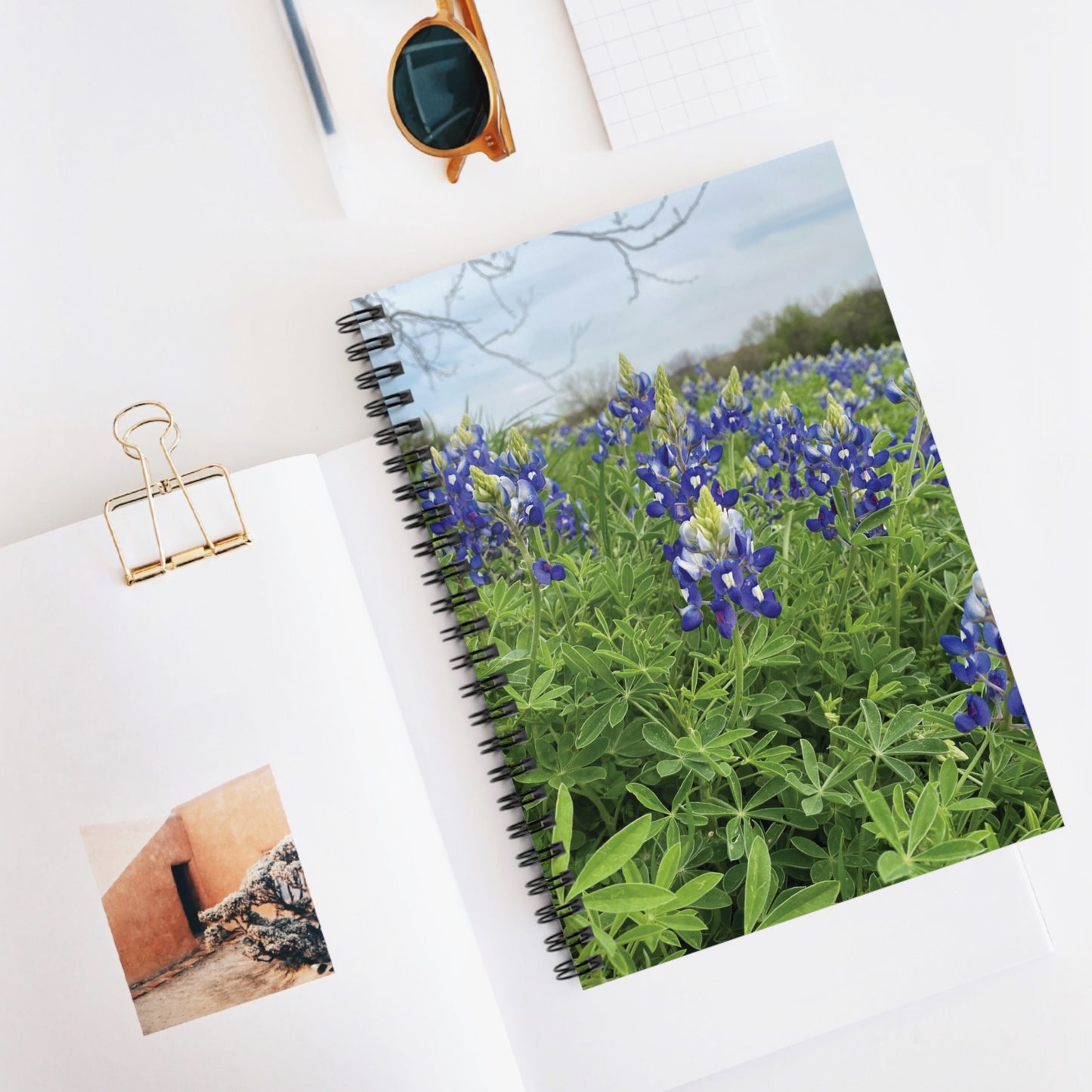 Spiral Notebook with Rule Lined Paper - bluebonnet season 2024