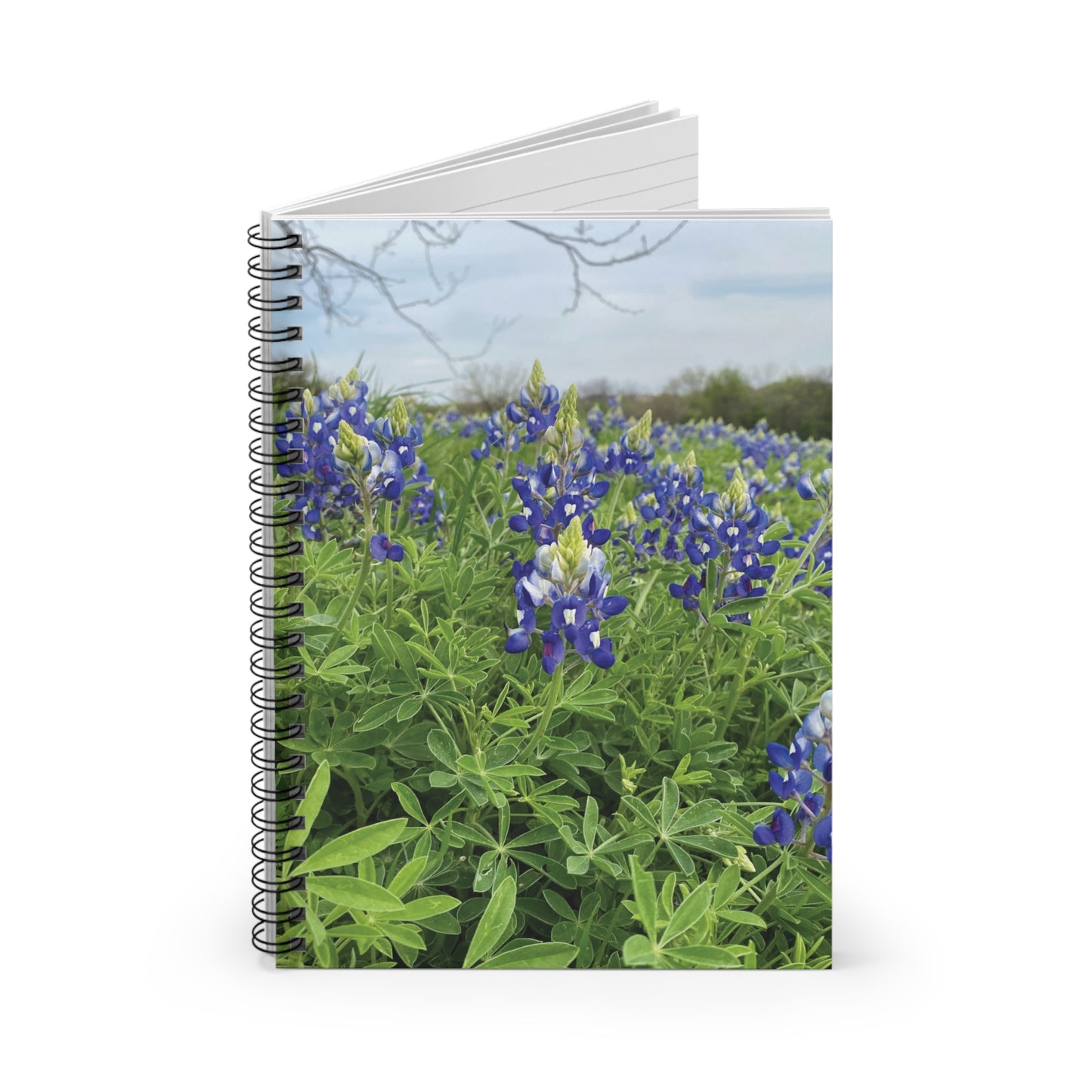 Spiral Notebook with Rule Lined Paper - bluebonnet season 2024