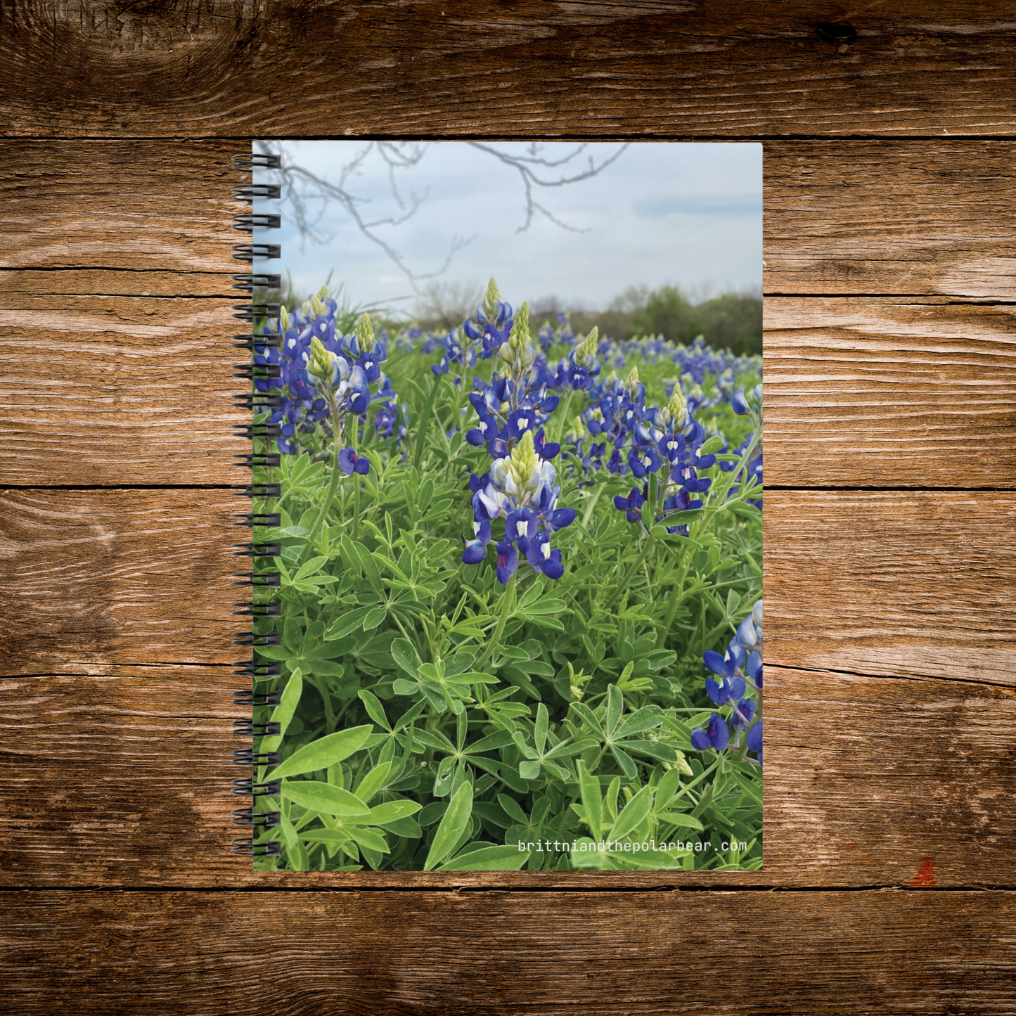 Spiral Notebook with Rule Lined Paper - bluebonnet season 2024