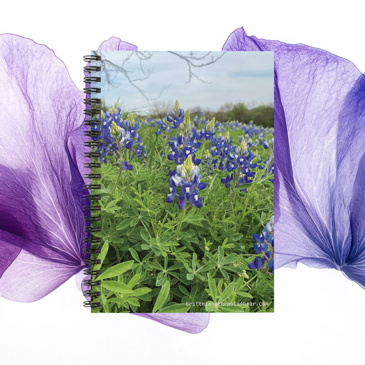 Spiral Notebook with Rule Lined Paper - bluebonnet season 2024