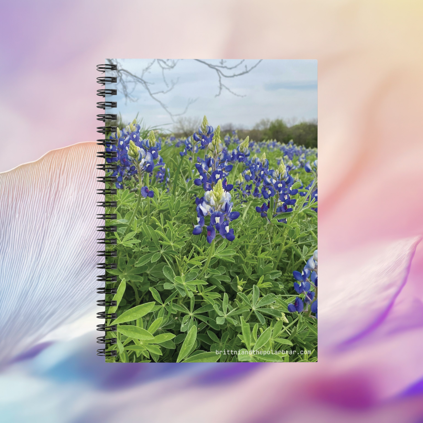 Spiral Notebook with Rule Lined Paper - bluebonnet season 2024