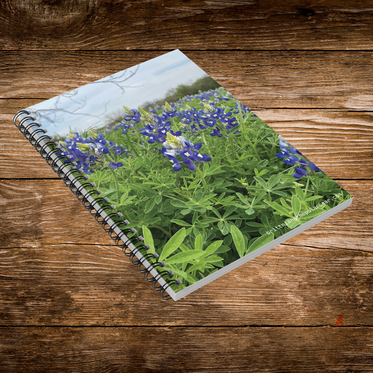Spiral Notebook with Rule Lined Paper - bluebonnet season 2024